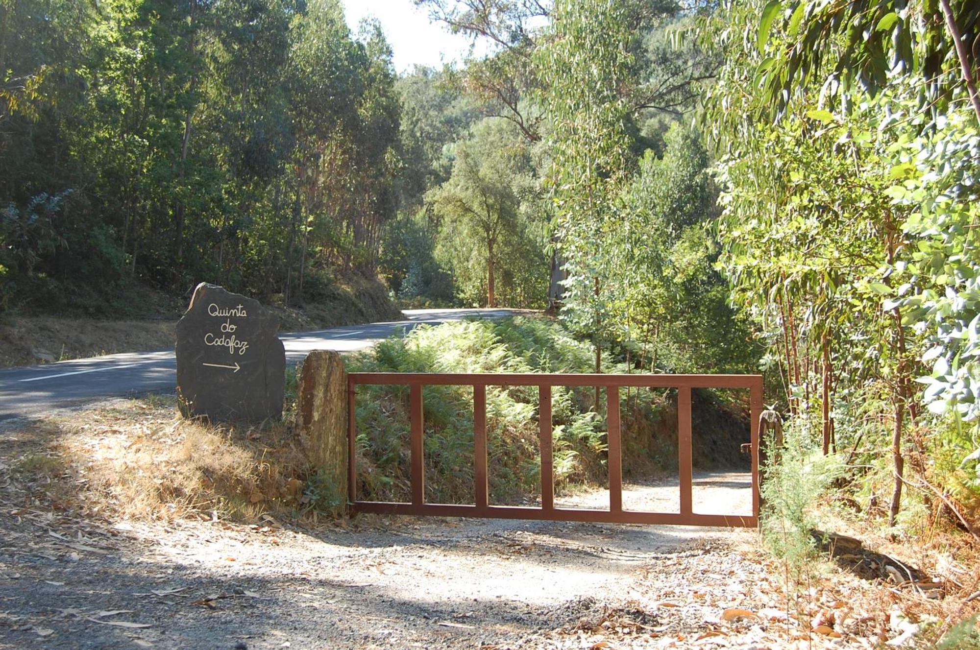 Casa De Campo "Quinta Do Cadafaz" アルヴァレンガ エクステリア 写真